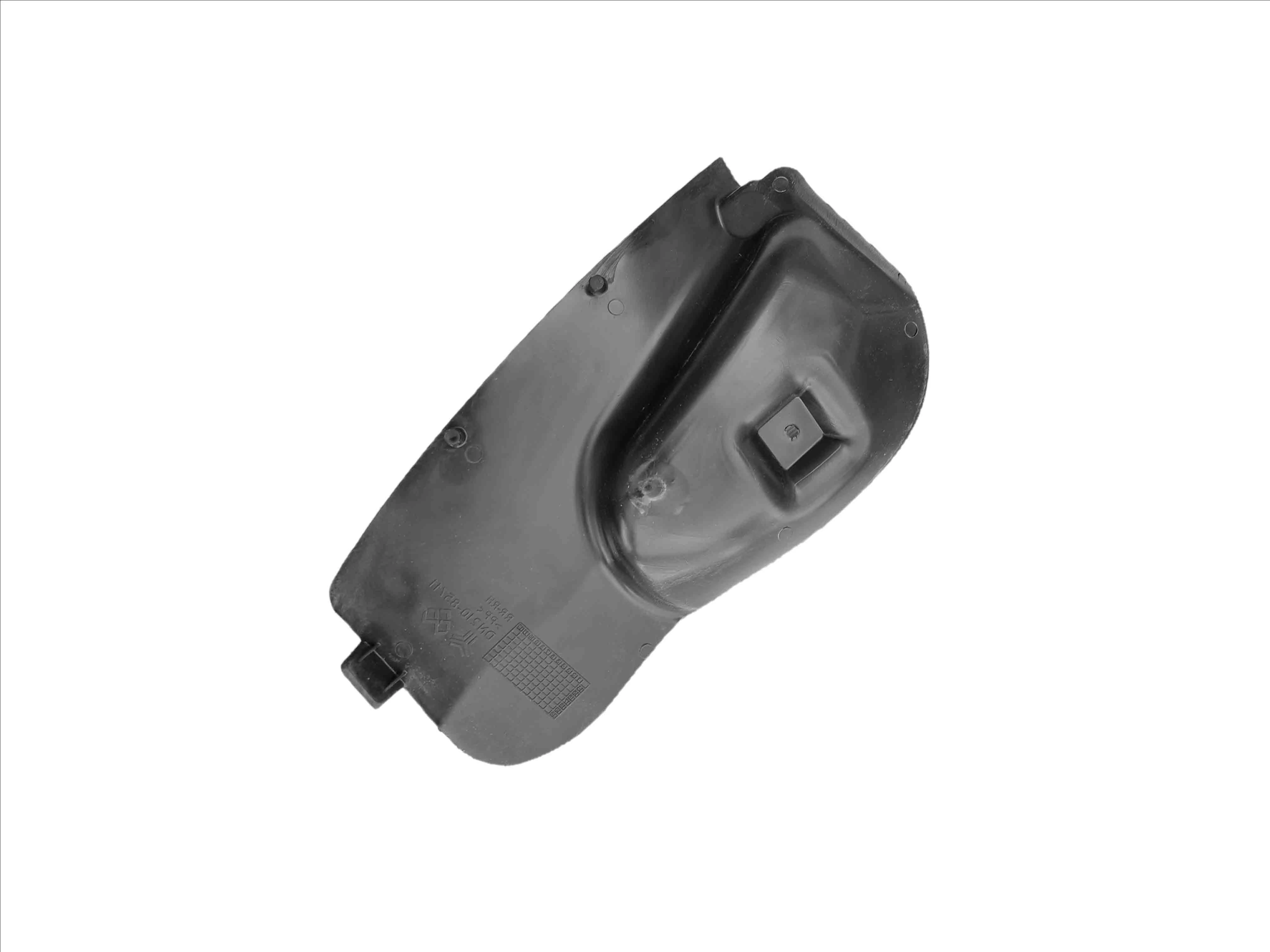 شلگیر عقب کوییک چپ ساعی کار