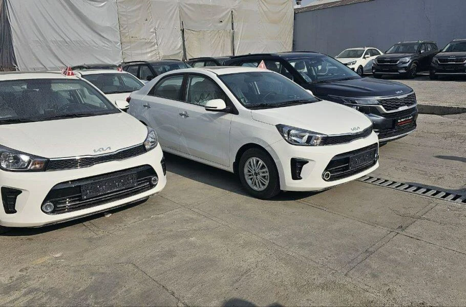 چرا با وجود درآمد سرشار دولت از واردات خودرو، همچنان این رویه کند پیش می‌رود؟ | صحت بخش